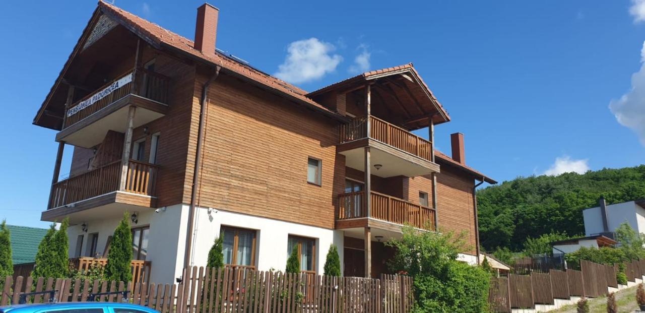Hotel Casa Paduricea Dezmir Exterior foto